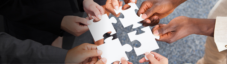 Project management