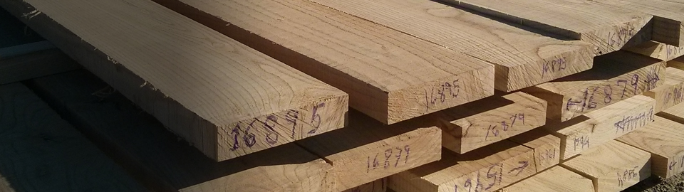 Élaboration des projets