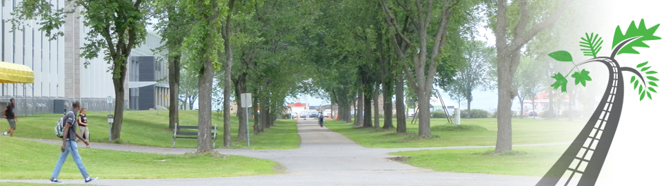 Éco Responsabilité avec les végétaux