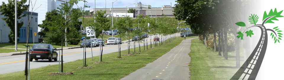Gestion durable de la foresterie urbaine