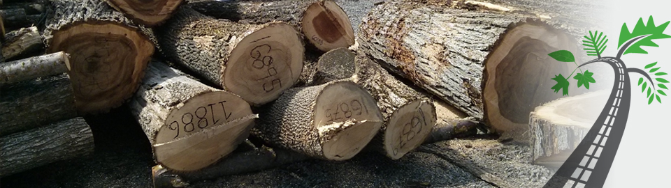 Notre perception de l’éco responsabilité