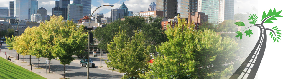 Vision, missions, valeurs