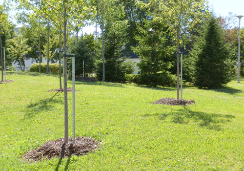 Gestion efficiente et optimisation