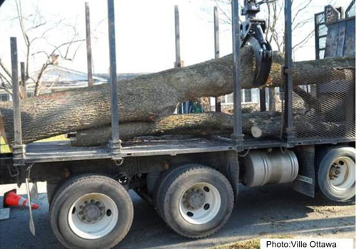 Recyclage et valorisation