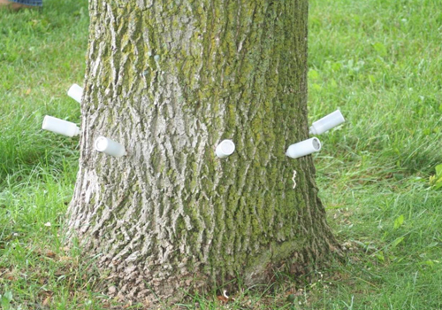 Traitement stratégique