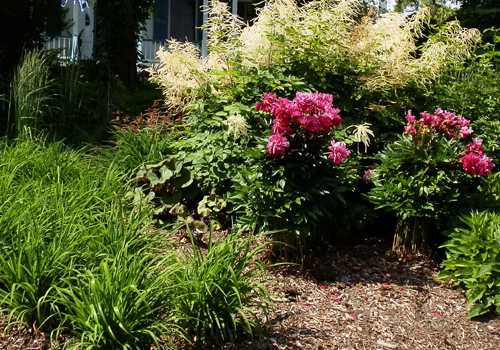 Valorisation bio-écologique