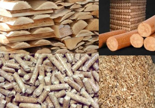 Valorisation énergétique